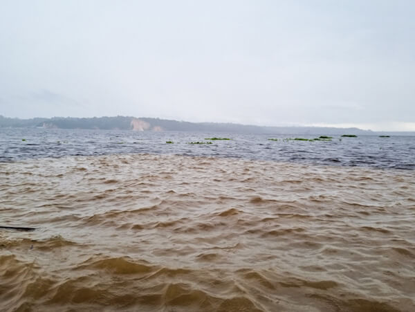 Encontro das águas: dica imperdível sobre o que fazer em Manaus