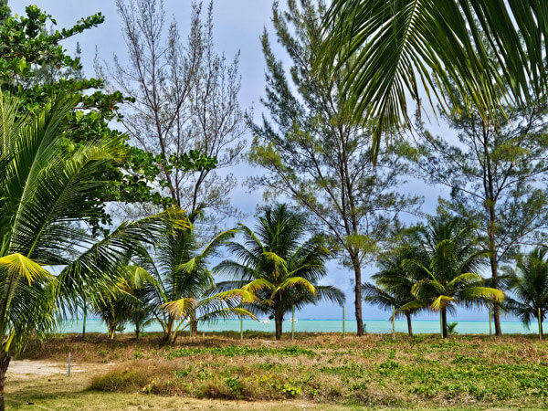 Salinas Maragogi: avaliação da praia