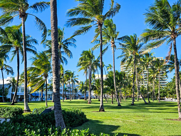 Lumus Parque: dica sobre o que fazer em Miami em 1 dia