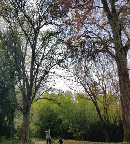 Jardim Botânico de Lisboa