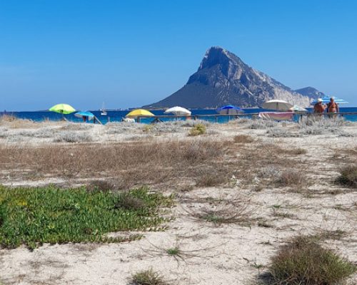 Porto Taverna e Tavolara ao fundo Porto Taverna e Tavolara ao fundo
