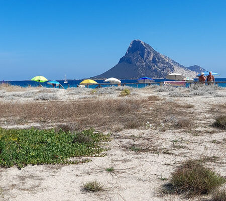Porto Taverna e Tavolara ao fundo