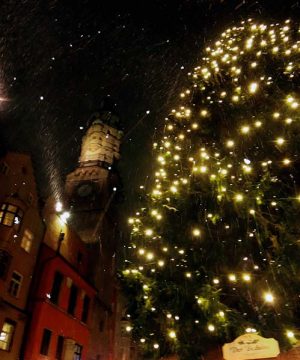 Árvore de Natal, dica sobre o que fazer em Innsbruck no Natal
