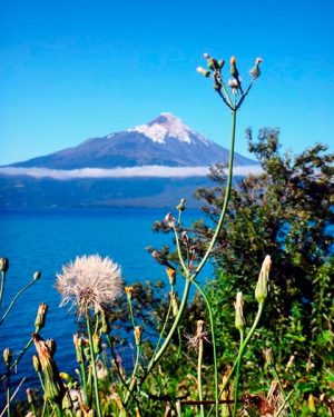 O que fazer em Puerto Varas: contemplar o lago e o vulcão Osorno